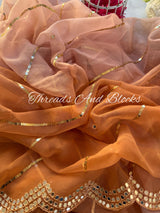 Ombré Nude Saree with Mirror Sequins