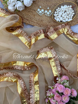 Tissue Mukaish Lappa Border Saree