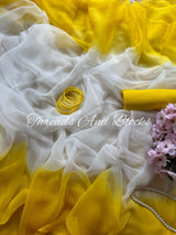 White Shaded Border Chiffon Saree