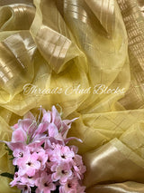 Tissue Banarasi Saree with Pearls