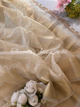 Tissue Banarasi Saree with Pearls