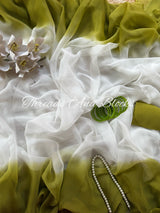 White Shaded Border Chiffon Saree