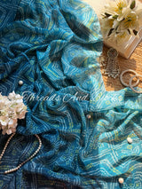 NEELAMBARI Chinnon Saree