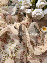 Wings of Elegance Chiffon Saree