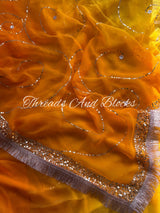 Tangerine Horizon Jaal Saree