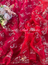 Red Rani Mughal Jharokha Jaal Saree