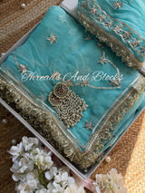 Aasmani Chaandni Gota Jaal Saree