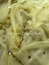 CHAMKI Chiffon Saree