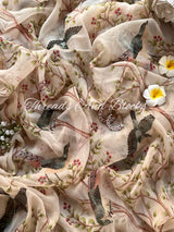Wings of Elegance Chiffon Saree