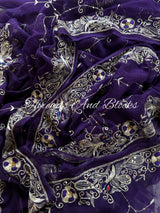 Rajwada Peacock Border Jaal Saree