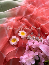 Pista Coral Leheriya Saree