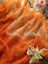 Ombré Sunset Sequin Stripe Saree