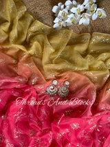 Pink and Smokey Lime Mughal Jharokha Saree