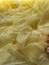 Soft Lemon Mukaish Paisley Saree