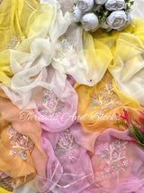 Pastel Hued Mughal Floral Saree