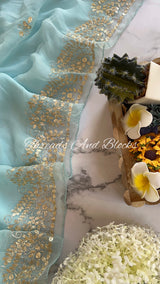 Pastel Blue Pittan Border Saree