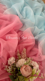 Powder Blue and Peachy Pink Shaded Saree