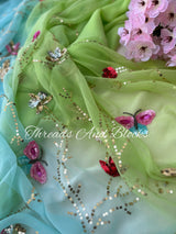 Enchanted Valley Jaal Saree