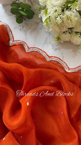 Rust Orange Organza Cutwork Border Saree