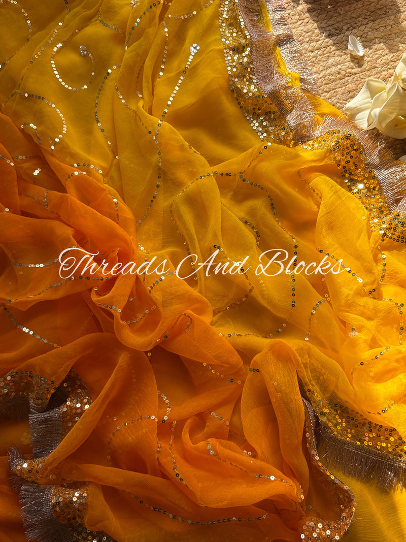 Tangerine Horizon Jaal Saree