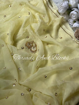 Jhilmil Organza Saree