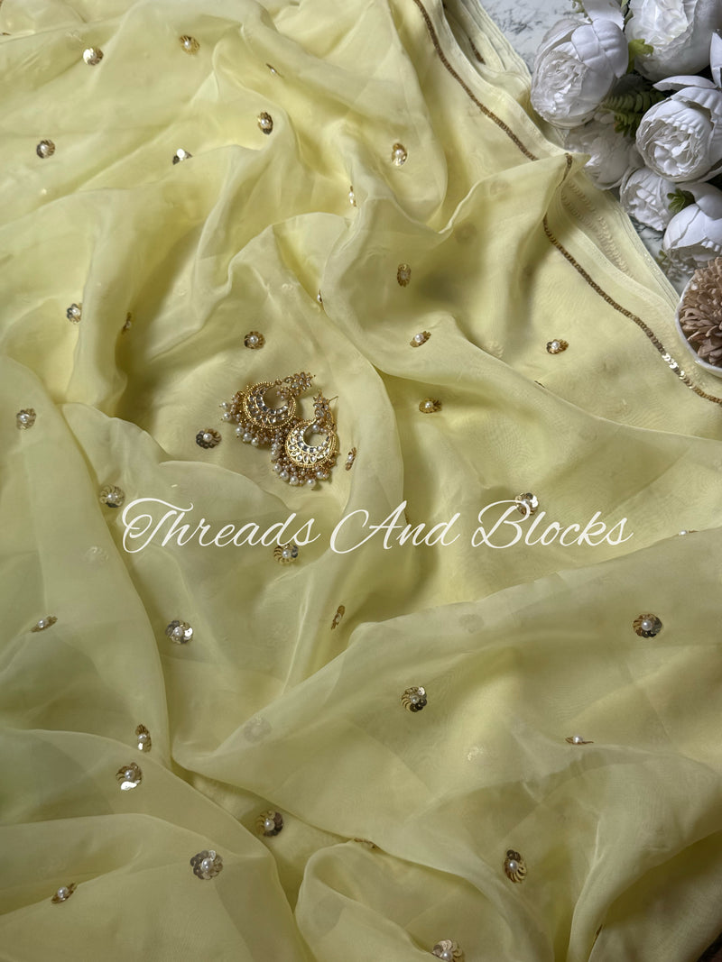 Jhilmil Organza Saree