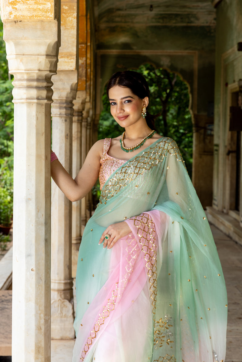 Pink Green Sequin Jaali Border Saree