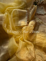 Tissue Banarasi Kiran Border Saree