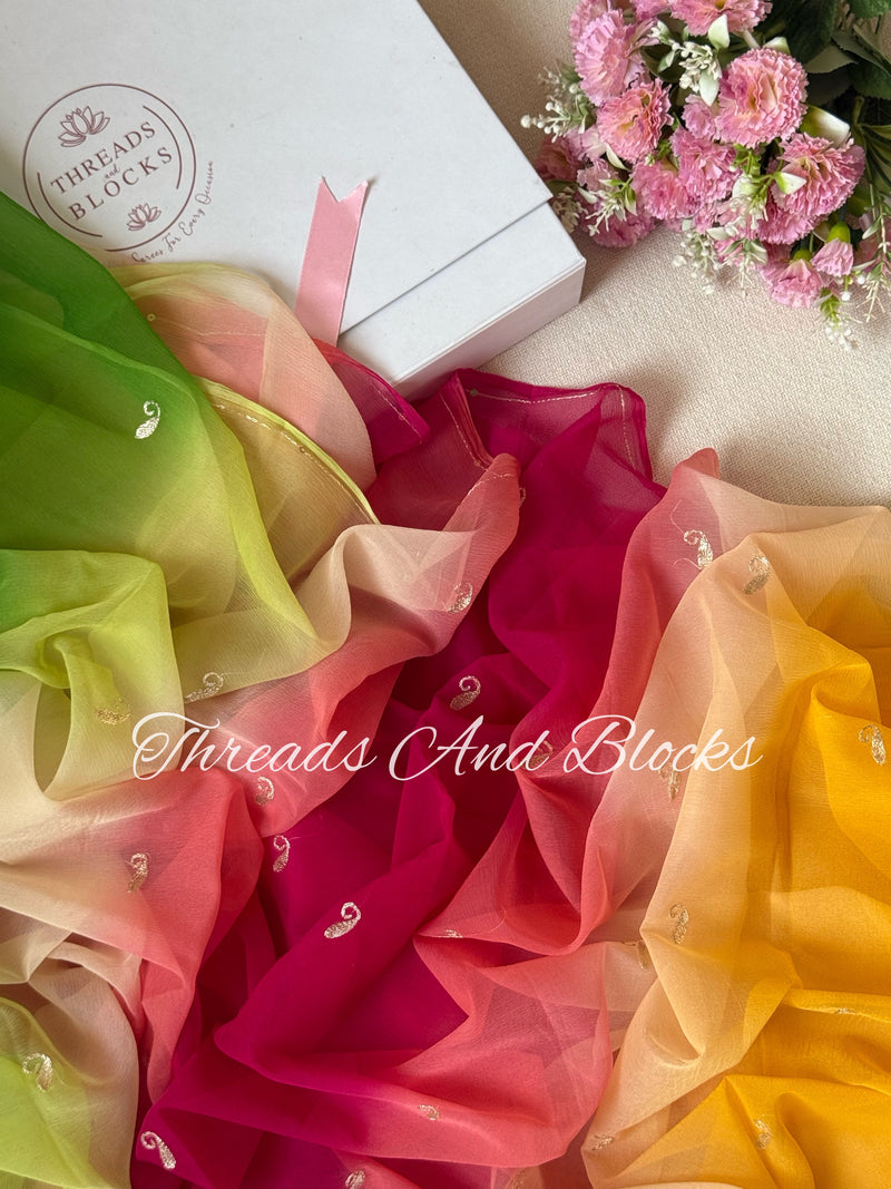 Pachrangi Margarita Chiffon Saree