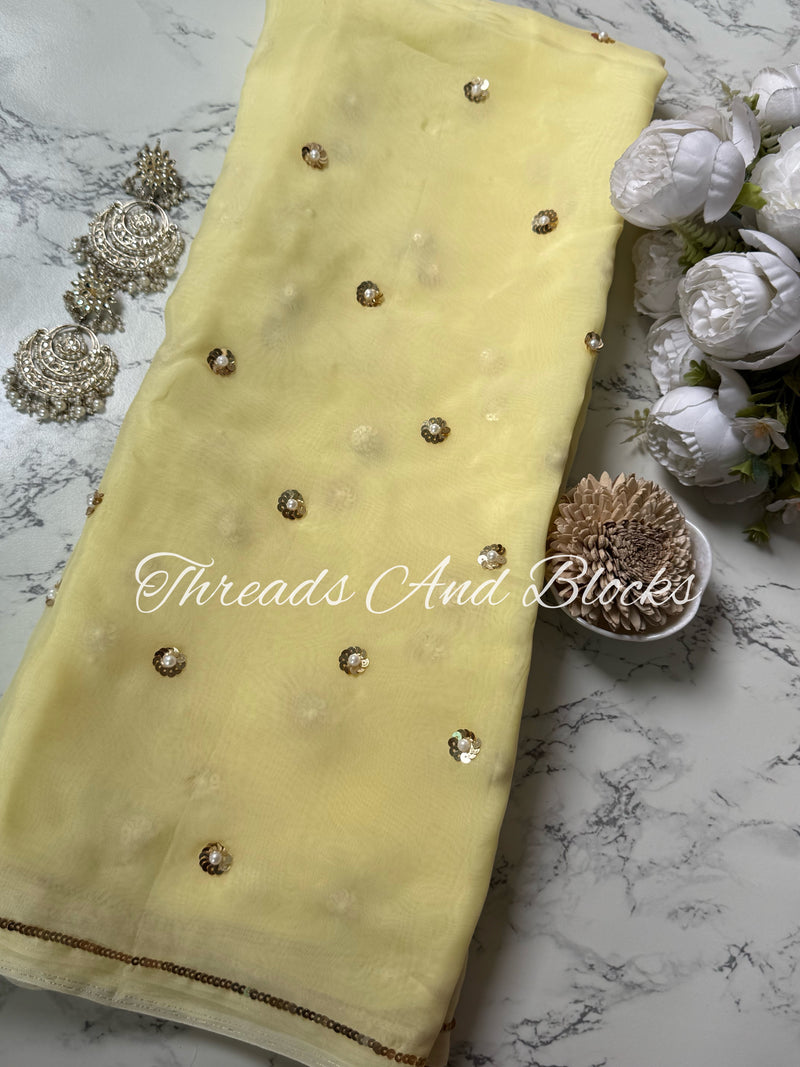 Jhilmil Organza Saree
