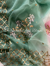 Pink Green Sequin Jaali Border Saree