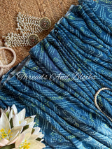 NEELAMBARI Chinnon Saree