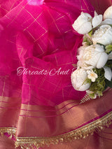 Tissue Banarasi Kiran Border Saree