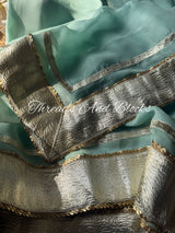Organza Lappa Border Saree