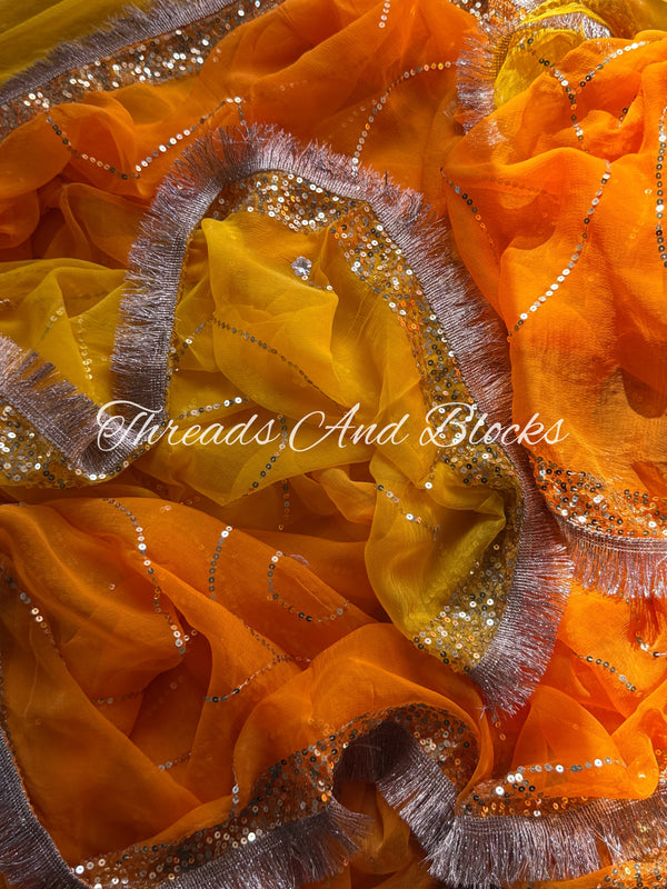 Tangerine Horizon Jaal Saree