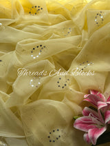 Soft Lemon Mukaish Paisley Saree