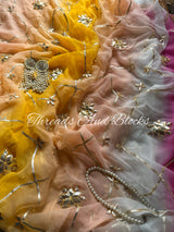 Rangreza Kachi Patti Jaal Saree