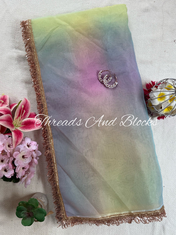 Organza Multicoloured Fringed Border Saree