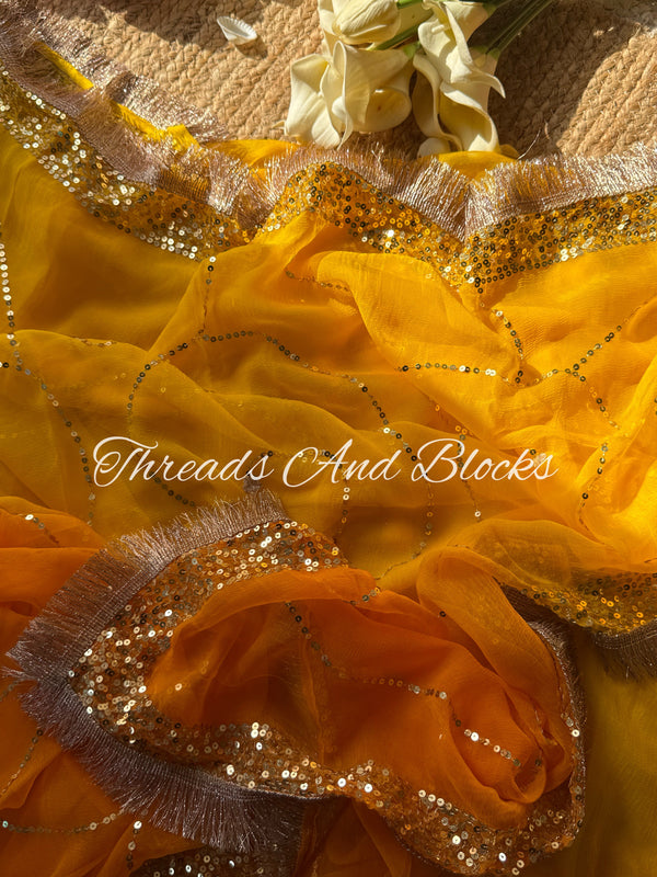 Tangerine Horizon Jaal Saree