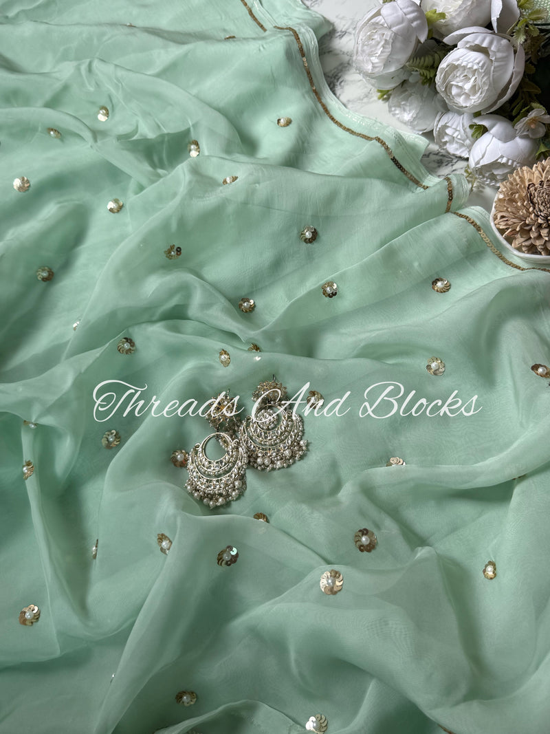 Jhilmil Organza Saree