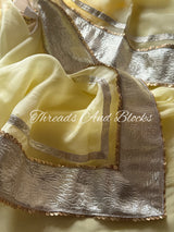 Organza Lappa Border Saree