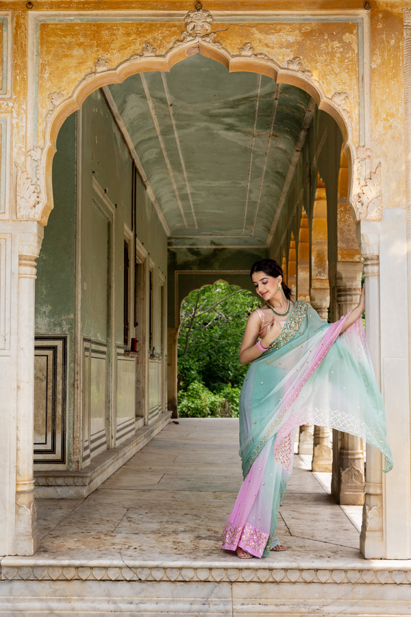 Pink Green Sequin Jaali Border Saree