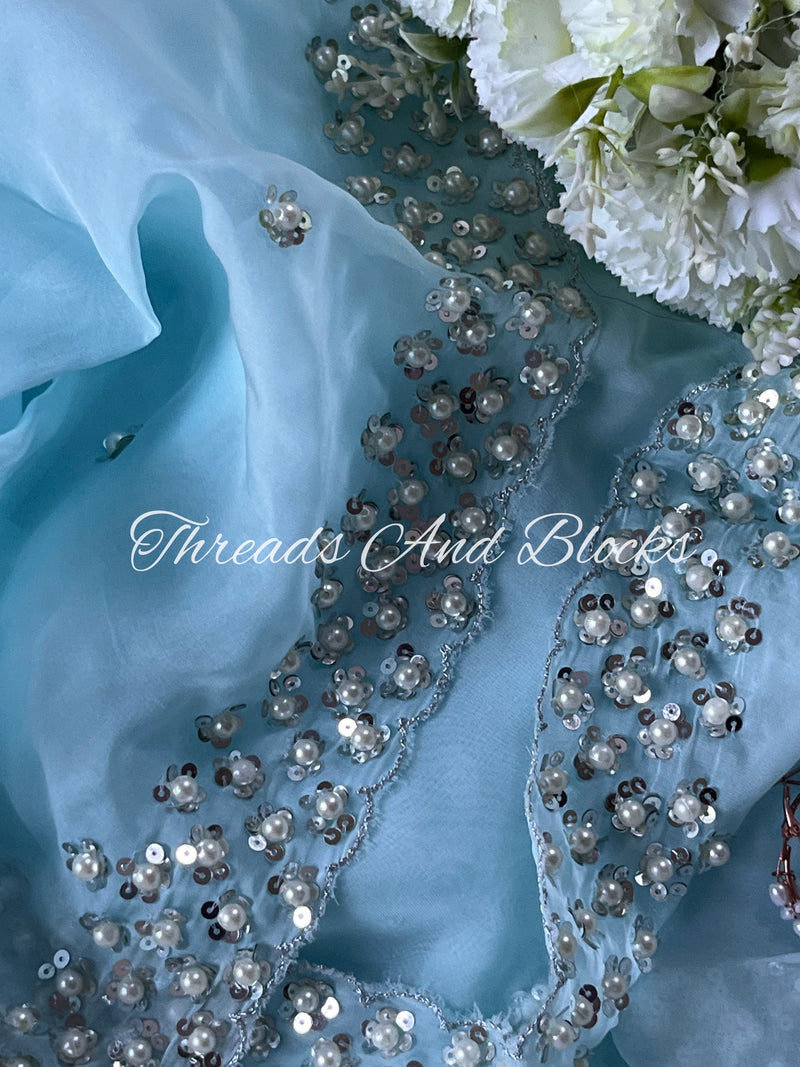 Sky Blue Pearl Border Organza Saree