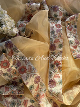 Tissue Saree with Flora Border