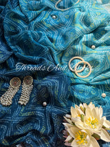 NEELAMBARI Chinnon Saree