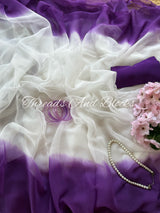 White Shaded Border Chiffon Saree