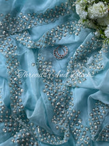 Sky Blue Pearl Border Organza Saree