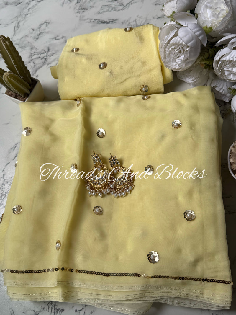 Jhilmil Organza Saree