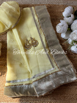 Organza Lappa Border Saree