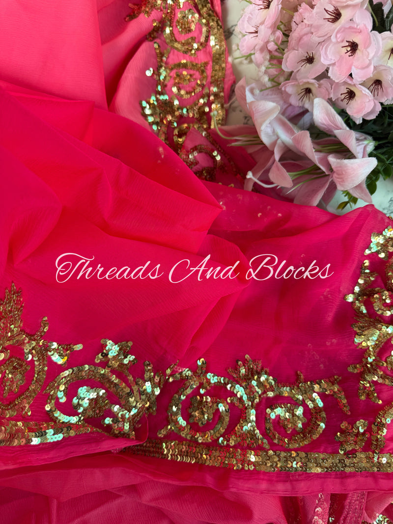 Sharbati Pink Sequin Border Saree